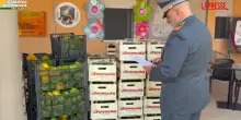 Vibo Valentia, sequestrati 2mila chili di frutta e verdura: donati in beneficienza dalle Fiamme Gialle
