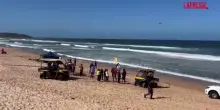 Australia, uomo ucciso da uno squalo a Sidney: la spiaggia della tragedia