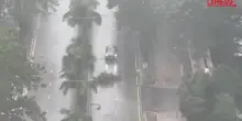 Hong Kong, arriva la tempesta tropicale Tapah: piogge torrenziali e forti raffiche di vento