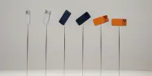 iPhone 17, Apple lancia quattro nuovi modelli: debutta l’ultrasottile “Air”
