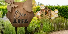 Zoo life, Italia guida il progetto per salvare gli impollinatori