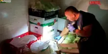 Tortona, sequestrati 382 chili di cibo cinese in cattivo stato di conservazione: le immagini