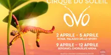 Cirque du soleil, nel 2026 ritorno in Italia con ‘Ovo’