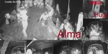 Flotilla verso Gaza, le immagini prima dellabbordaggio