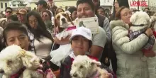 A Quito la tradizionale benedizione degli animali domestici