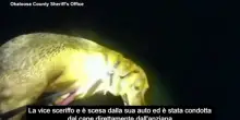 Florida, cane aiuta agente a trovare e salvare un’anziana ferita: le immagini