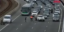 Australia, famiglia di anatre blocca il traffico su autostrada a Perth