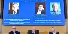 Nobel per l’Economia 2025: premio a Joel Mokyr, Philippe Aghion e Peter Howitt