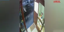 Torino, polizia ferma rapinatori seriali: i malviventi in azione