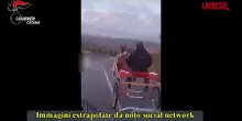 Catania, gare ippiche clandestine: sequestrati cavalli e calessi