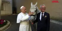 Papa Leone XIV riceve in regalo un cavallo bianco