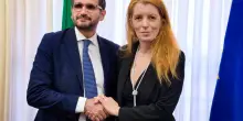 Migliaia di gatti salvati da morte certa