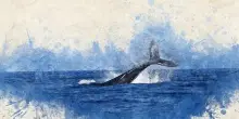 I libri e il mare secondo Starnone: «Non siamo fatti per Moby Dick»