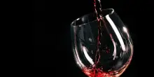 Un vino più inclusivo: perché questa tendenza non va ostacolata