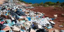 Ecomafie in Italia, reati in aumento: nel 2024 sono stati 111 al giorno