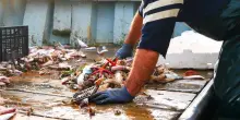 Il grave ritardo dell’Italia, che promette mari protetti ma lascia campo libero alla pesca