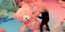 Roma, donna vestita da orso colpita con un pugno da un visitatore della mostra – IL VIDEO