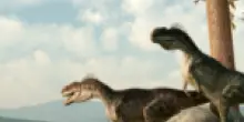 La vera voce dei dinosauri