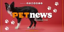 PetNews Magazine - 29/9/2025