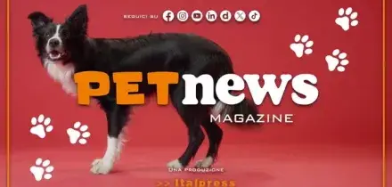 PetNews Magazine - 27/10/2025