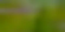 L'economia responsabile al centro dell'Agrifestival di NaturaSì