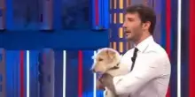 Affari Tuoi, "durante la puntata De Martino...": un clamoroso retroscena