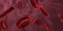 Tumore, il batterio che può sconfiggere la malattia: l'ultima frontiera