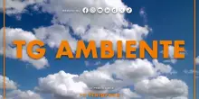 Tg Ambiente - 26/10/2025