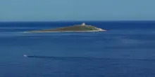“NauticinBlu”, riparte il progetto di conservazione marina di Marevivo