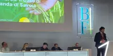 UniBo e Bf Educational: conferimento del diploma di master universitario agli studenti della seconda edizione