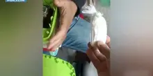 Torino, spaccio di droga a Barriera Milano: arrestati cinque nigeriani