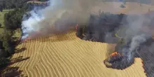 Europa in fiamme, milioni di ettari bruciati