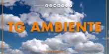 Tg Ambiente - 5/10/2025