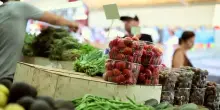 Gli italiani spendono meno per il cibo, agricoltura in crisi