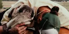 Lewis Hamilton, "Rosco è morto tra le mie braccia": un'addio straziante