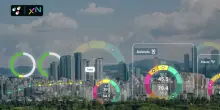 3Bee e XNatura, l'analisi del verde urbano: i Crediti di Biodiversità possono essere la risposta alla crisi degli habitat
