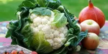 Le regole a tavola come prevenzione per il tumore al colon