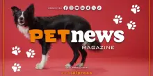 PetNews Magazine - 1/9/2025