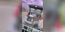 Ruba zaini e borse di un turista, incastrato dalla dash cam dell'auto