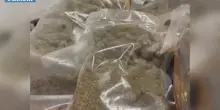 A Milano sequestro di 50 kg di droga e 20 mila euro, 7 arresti
