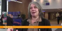 Gaza, Strada "La tregua non è pace, servono giustizia e diritti"