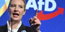 Germania, morti sei candidati di Afd a pochi giorni dal voto