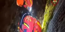 Pordenone, il salvataggio di un gattino in difficoltà: era incastrato in una tubazione