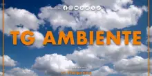 Tg Ambiente - 12/10/2025