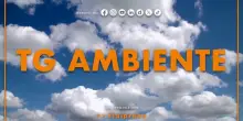 Tg Ambiente - 7/9/2025