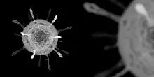 Uno studio definisce l'intervallo ottimale tra le dosi vaccinali