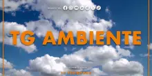 Tg Ambiente - 19/10/2025