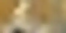 Ergastolo al migrante afgano, aggredì raduno anti-Islam a Mannheim