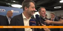 Trasporto aereo, Salvini "Volare con cani in cabina segno di civiltà"