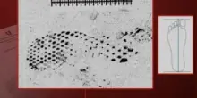 Garlasco, l'impronta che può scagionare Stasi: l'ultimo esperimento